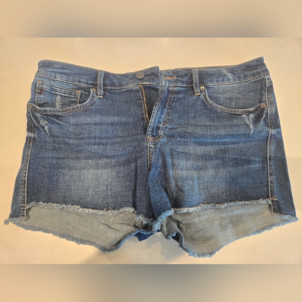 Dear John Jean Shorts Size 31